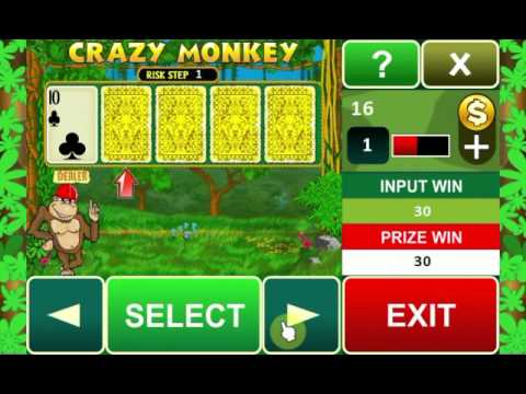 Crazy Monkey: Yüksek kazanma potansiyeli ve temalı bonus oyunu!